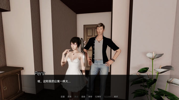 迷一样的遗产 Ver0.6 汉化版 PC+安卓 SLG游戏&新作插图3