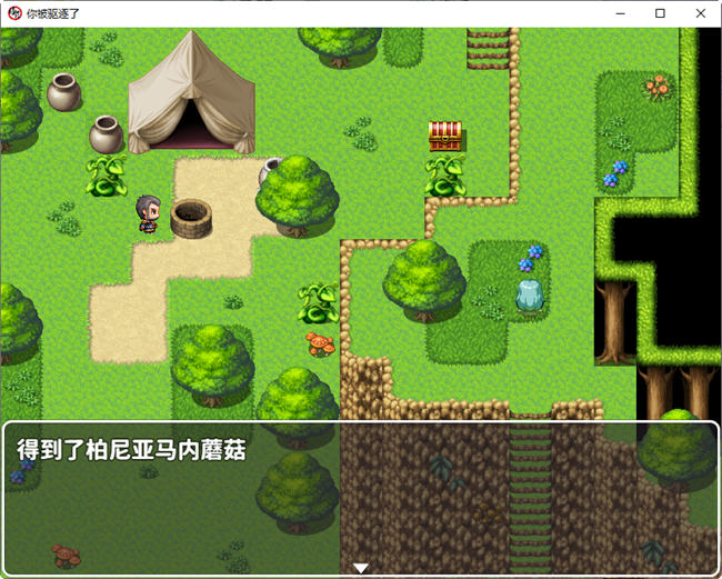 你被驱逐了 官方中文作弊版 PC+安卓 RPG游戏插图1